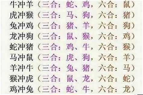 生肖六和|最全12生肖三合、六合、相冲、相害详细讲解！（上）